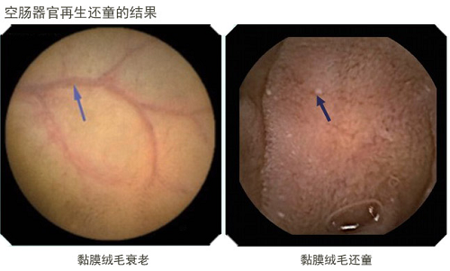 3118云顶集团(中国区)官方网站