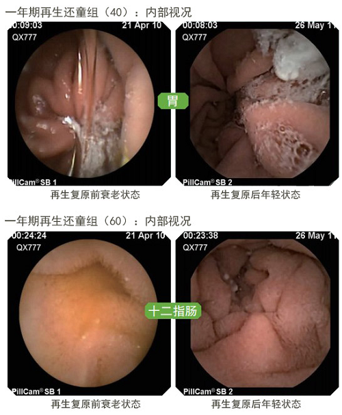 3118云顶集团(中国区)官方网站