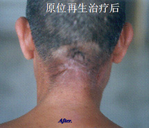 3118云顶集团(中国区)官方网站