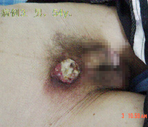 3118云顶集团(中国区)官方网站