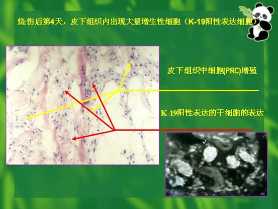 3118云顶集团(中国区)官方网站