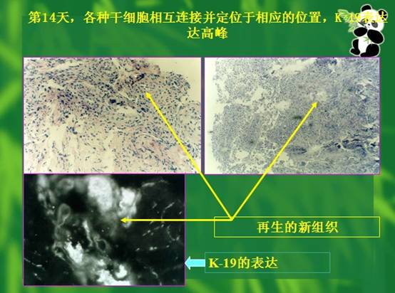 3118云顶集团(中国区)官方网站