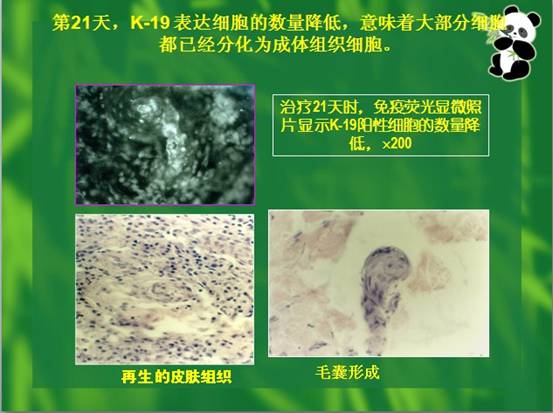3118云顶集团(中国区)官方网站