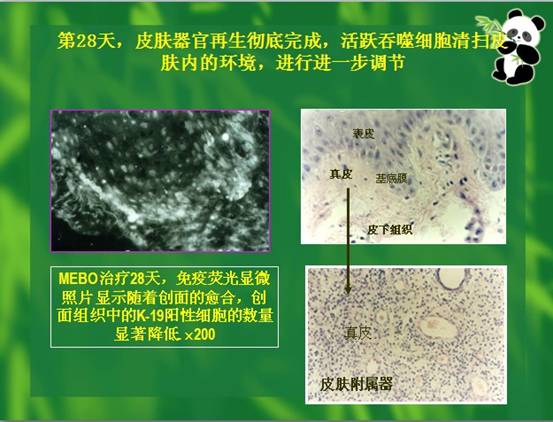 3118云顶集团(中国区)官方网站