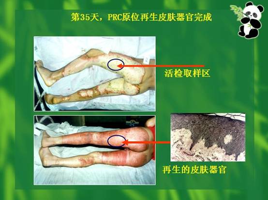 3118云顶集团(中国区)官方网站