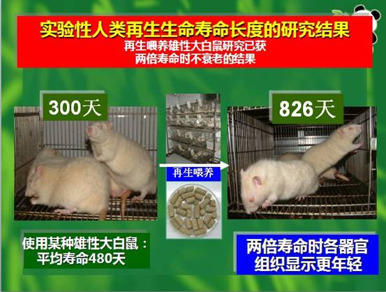 3118云顶集团(中国区)官方网站