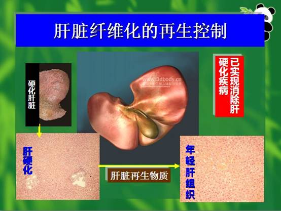 3118云顶集团(中国区)官方网站