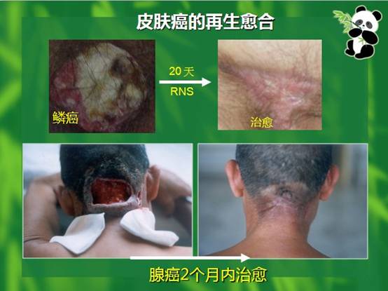 3118云顶集团(中国区)官方网站
